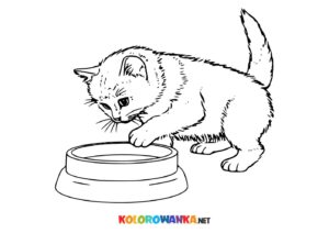 Kotek z miską kolorowanka