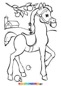 Koń na farmie kolorowanka