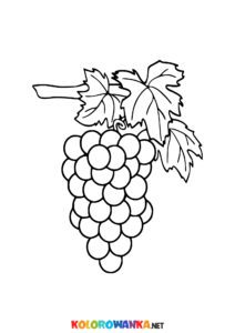 Winogrono kolorowanka z owocami