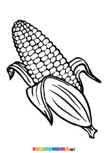 Kolorowanka kukurydza