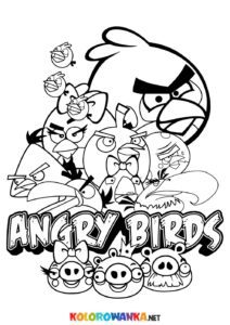 Angry Birds kolorowanka
