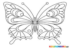 Kolorowanki motylki do druku