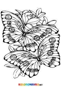 Motyle kolorowanka