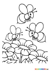 Pszczoły kolorowanka